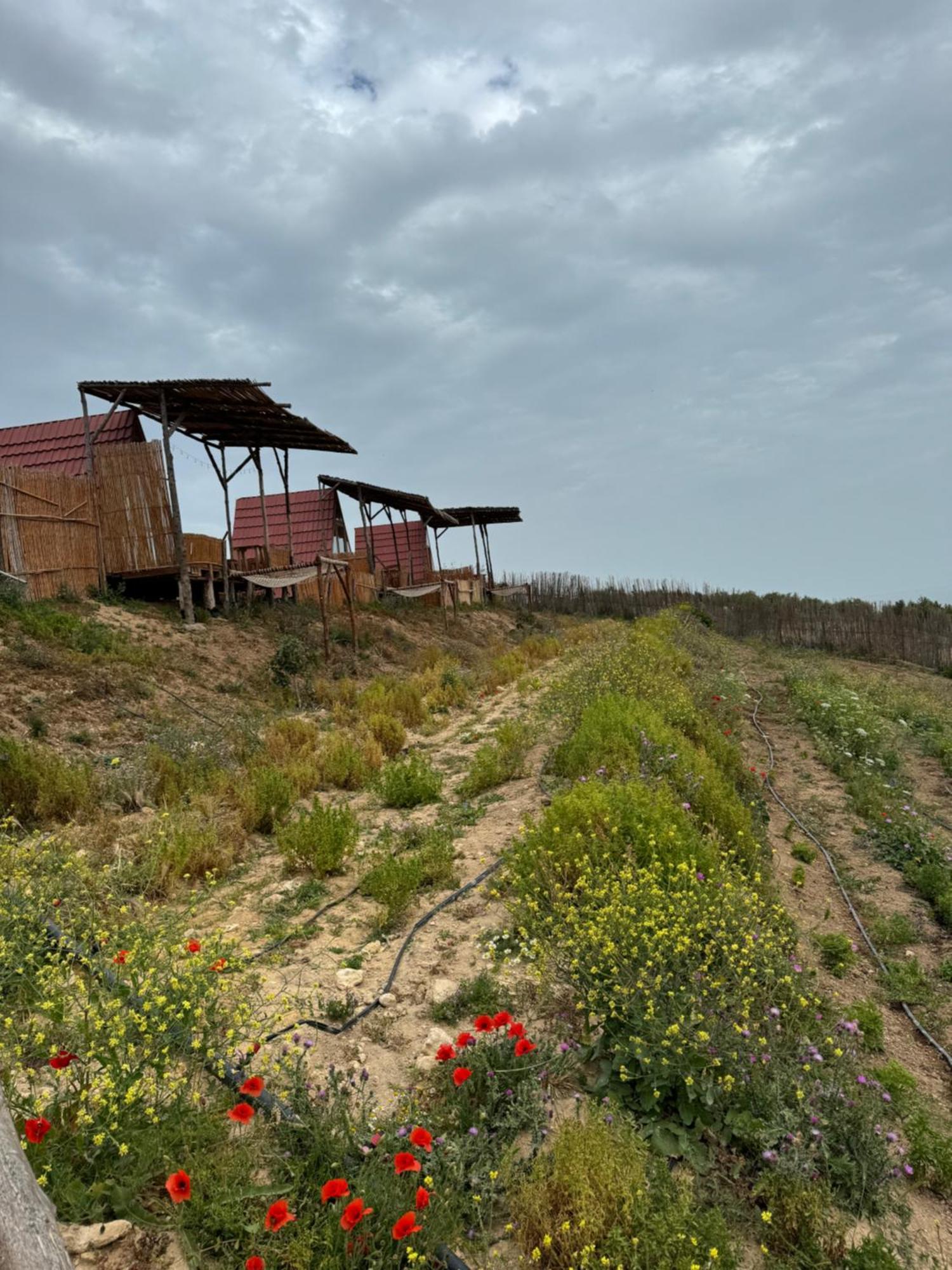 Ghar El Melh Outdoors Hotel Ra's al Jabal Bagian luar foto